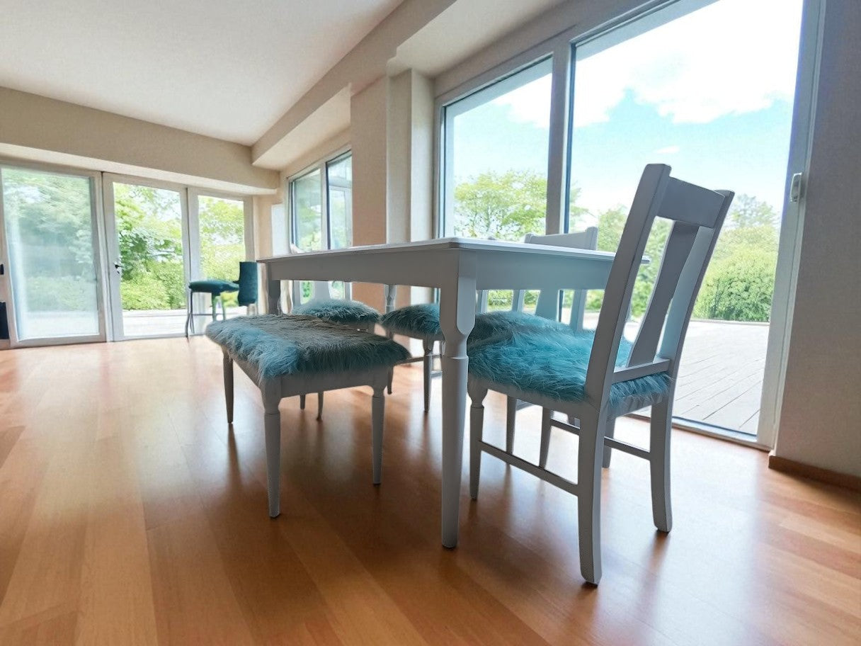 COMEDOR LILY DE 4 SILLAS Y UNA BANCA